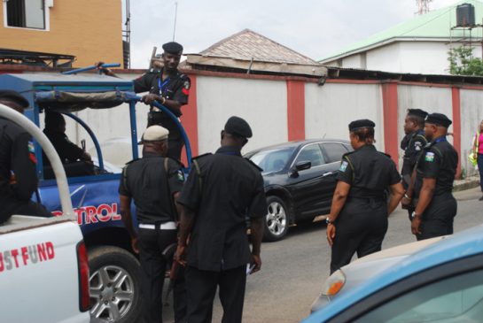 Cross-section of police officers at work