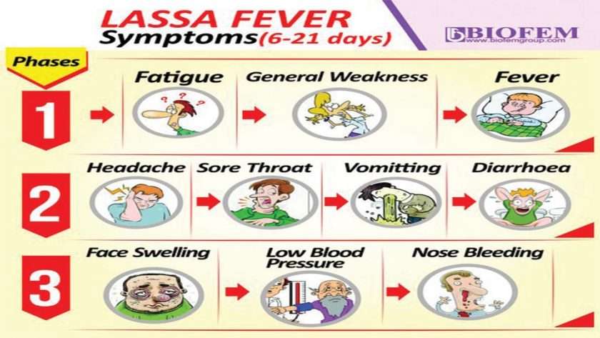 Breaking Media Blackout As Lassa Fever Ravages Nigeria The Source   Lassa Fever Symptoms Scaled 