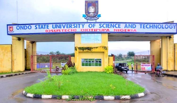 lecturers-down-tools-in-ondo-varsity-over-unpaid-entitlements-the-source