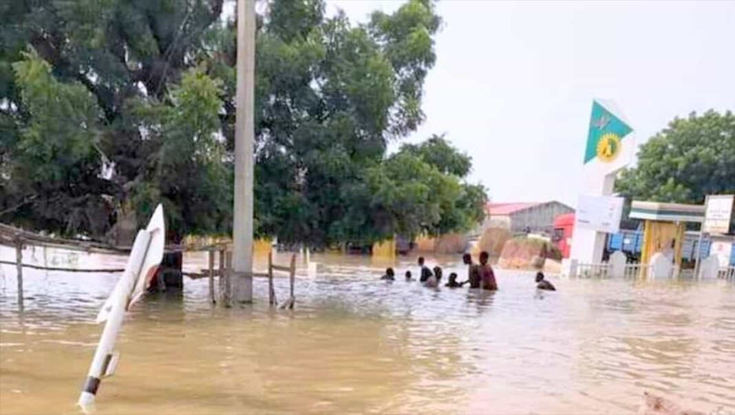 Jigawa Floods