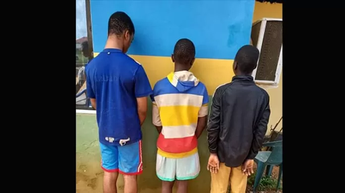 Teenagers Arrested in Ekiti for Stealing Teenagers Arrested in Ekiti for Stealing