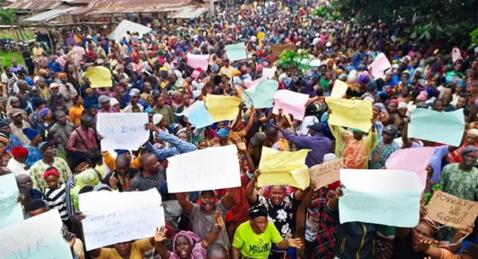 Ondo Cocoa Farmland Protest Ondo Cocoa Farmland Protest