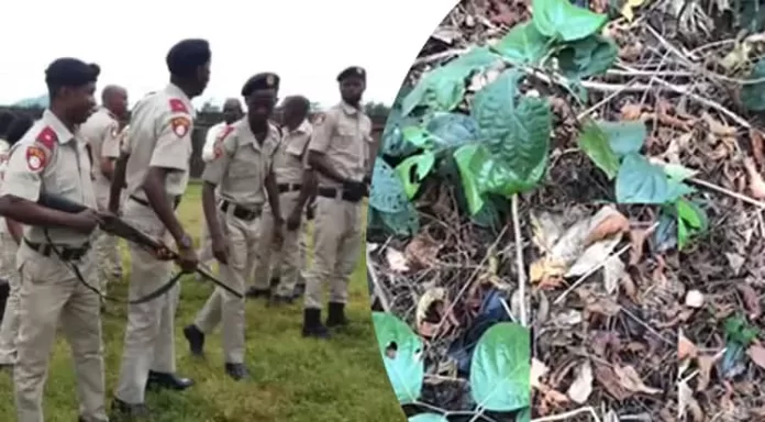 Horror In Owerri Forest As Kidnap Victim Died Horror In Owerri Forest As Kidnap Victim Died