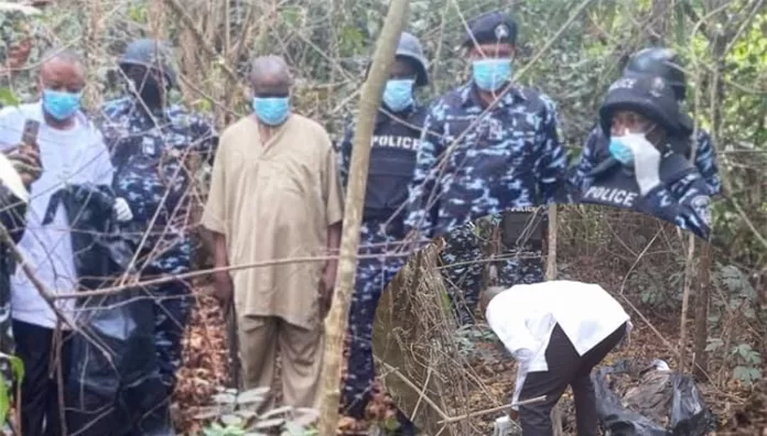 Imo Police Comb Forest