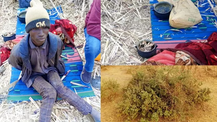 Kaduna Notorious Bandit arrested