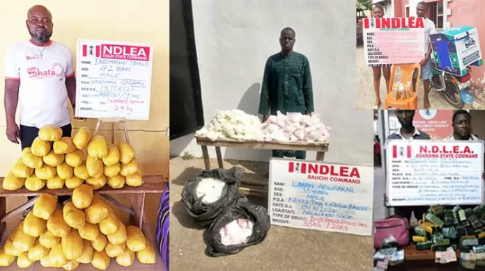 NDLEA Arrest Hairstylist
