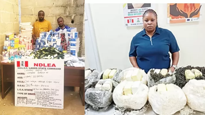 NDLEA Drug Hidden inside Salad