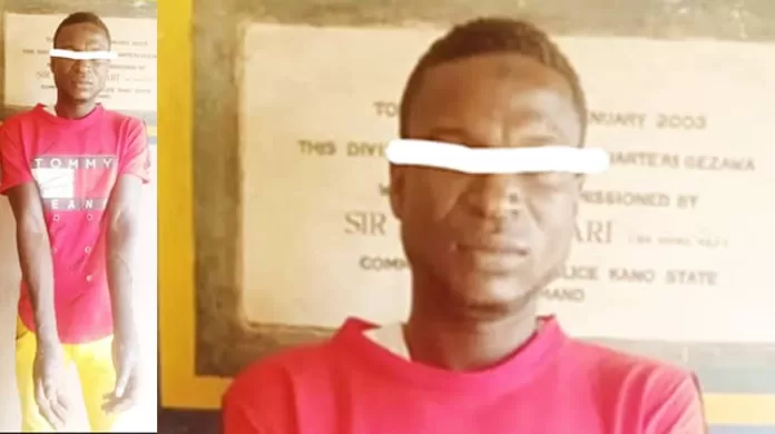 Shafiu Aminu Kano arsonist