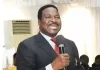 Mike Ozekhome