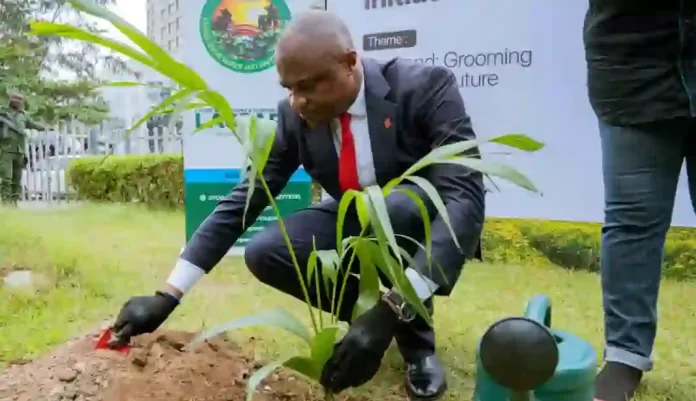 UBA Foundation Plants Trees UBA Foundation Plants Trees