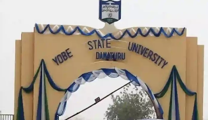 Yobe State University