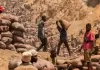 Dead Miners: FG Names 10-Man Probe Panel Gold Miners in Nigeria