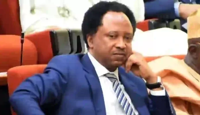 Senator Shehu Sani