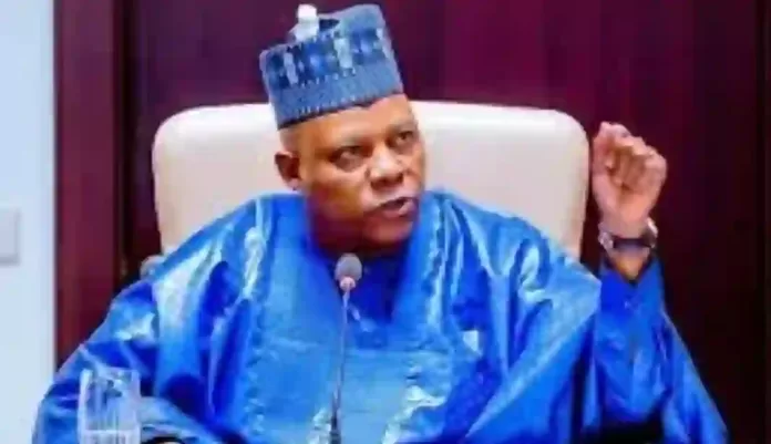 VP Kashim Shettima