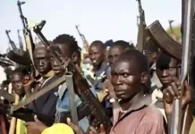 Senator Accused Of Supplying Arms To Bandits Says Opponents After Him Bandits in the North