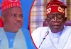 Hashimu Suleiman Dungurawa - the Kano state chairman of the NNPP and Bola Tinubu