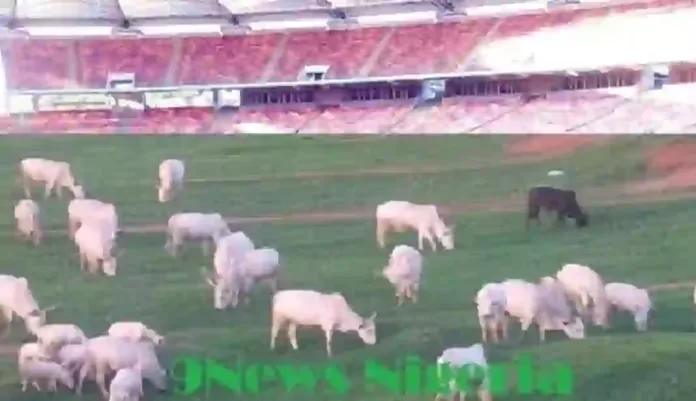 Herdsmen-turn-National-stadium-Abuja-to-grazing-ground Herdsmen-turn-National-stadium-Abuja-to-grazing-ground