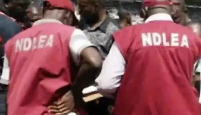 NDLEA Officials