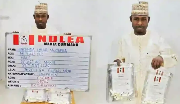 NDLEA arrest Syndicate