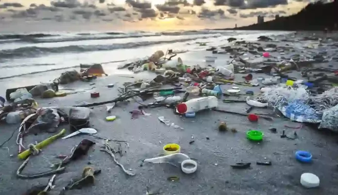 Unity Bank Plastic Pollution