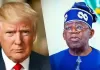 Donald Trump and Bola Tinubu