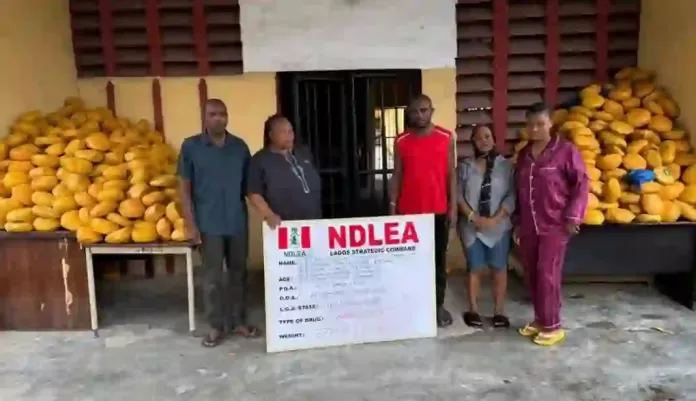 NDLEA arrested Couple in Lagos NDLEA arrested Couple in Lagos
