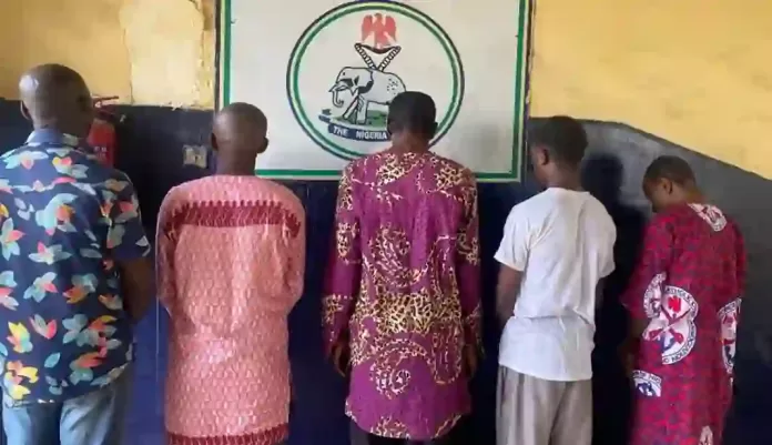 Five Men Who Assaulted 55 Year-Old Woman in Imo