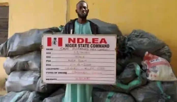 NDLEA Arrests Bandits Drug Supplier
