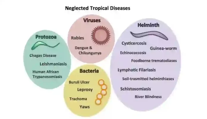Tropical-Diseases