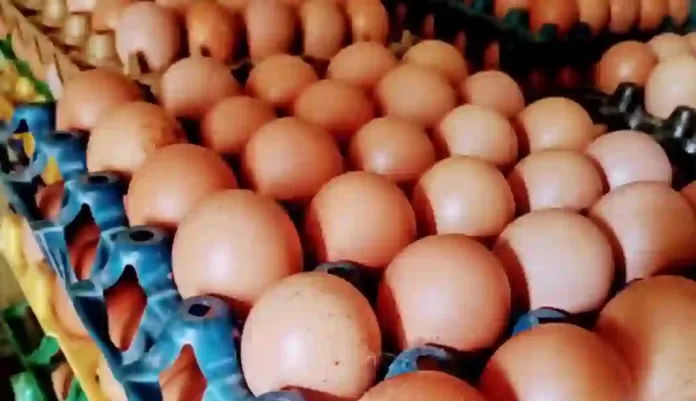 Eggs