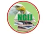 NGIJ Logo