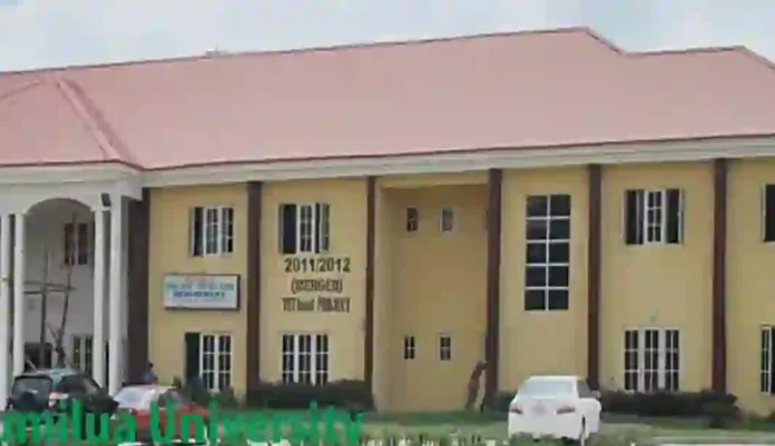 Bamidele Olumeluwa University