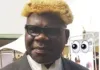 Finally, Professor Obiaraeri, Along With 67 Others, Makes The SAN Rank Professor Nnamdi Onyeka Obiareri