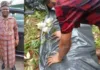 Army Recovers Remains of Murdered Imo Community Leader From Shallow Grave