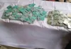 Niger Police Command Arrests Suspect Linked To Production Of Fake NIN, PVC Fake NIN and PVC