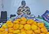 Customs Intercepts ₦511.4 Million Worth of Pharmaceuticals, Illicit Drugs Drugs seized by Customs