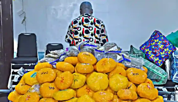 Drugs seized by Customs Drugs seized by Customs